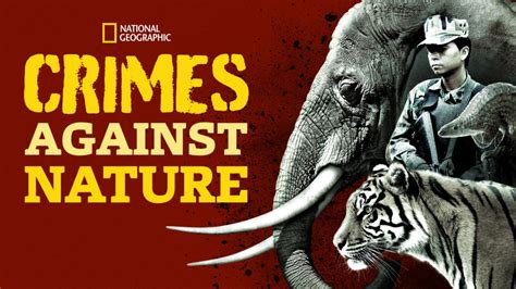 Crimes Against Nature Season 2 Coming To Disney Us Disney Plus