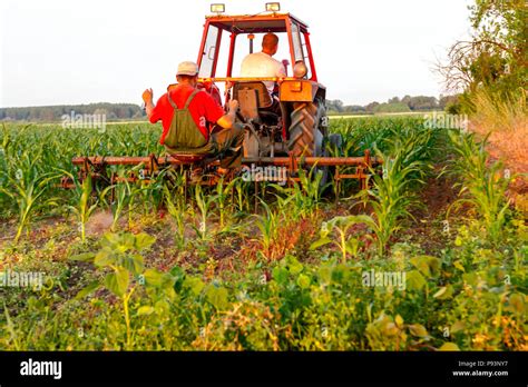 Tracteur Avec Les Agriculteurs Cultivent Le Ma S Sur Le Terrain Avec