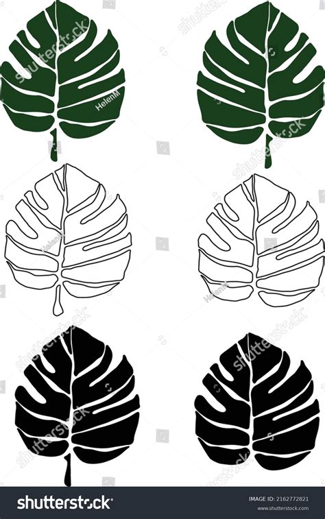 Monstera Leaf Isolated Clip Art Set Stock Vector (Royalty Free ...