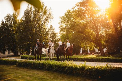 Jazdy Konne Pa Ac I Stadnina Koni Walewice