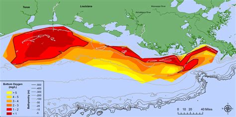 Larger-than-average Gulf of Mexico ‘dead zone’ measured | National