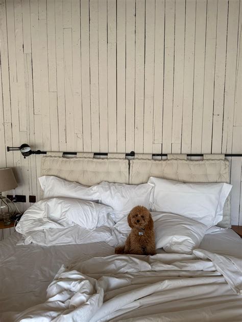 🦄 @kikacgomes - Kika Cerqueira Gomes - TikTok