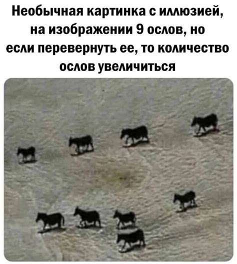 Невероятная математика | Пикабу