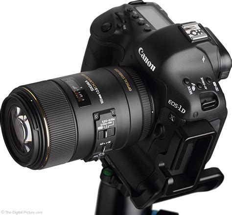 Sigma 105mm F 2 8 EX DG OS HSM Macro Lens Review