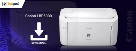 Canon LBP6000 Driver Download and Update [Easily] | TechPout