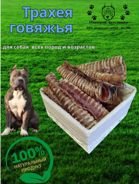 Трахея говяжья - купить с доставкой по выгодным ценам в интернет ...