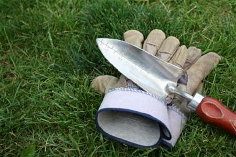 Gardening Gloves | LoveToKnow