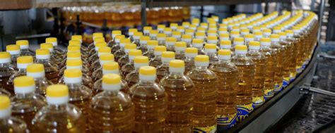 Пресса для отжима масла 2024 | ВКонтакте