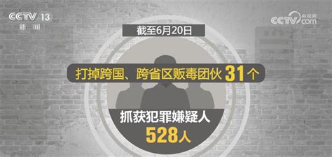 全国移民管理机构半年缴获毒品474吨 有力遏制境外毒源危害新闻频道央视网