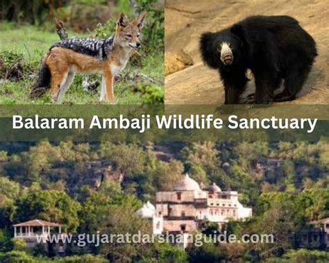 Balaram Ambaji Wildlife Sanctuary Timings, Entry Fee, Contact Number