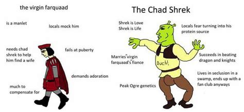 The virgin farquaad vs the chad Shrek : r/virginvschad