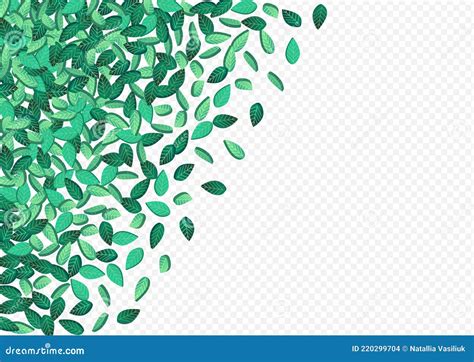 Swamp Leaf Falling Vector Transparent Background Stock Vector