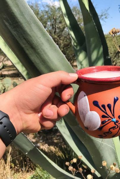 Feria del Pulque 2023 un evento gastronómico mexicano que no te puedes