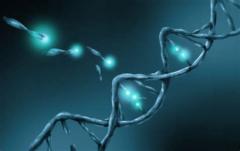 scientists      gene mutation   increase