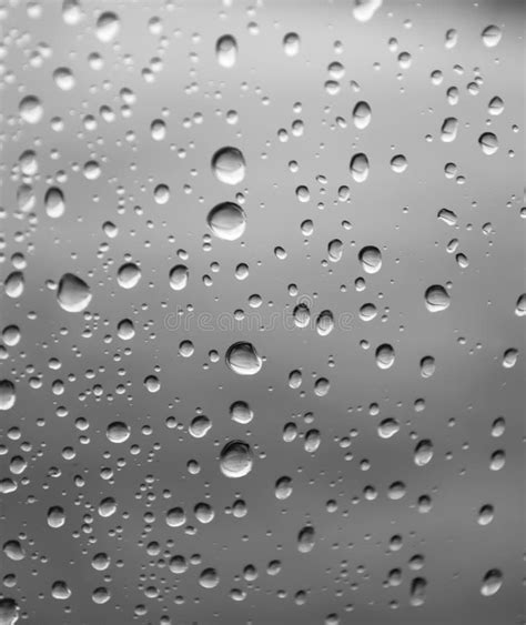 Black and White Water Drops Stock Photo - Image of drips, grey: 1856190