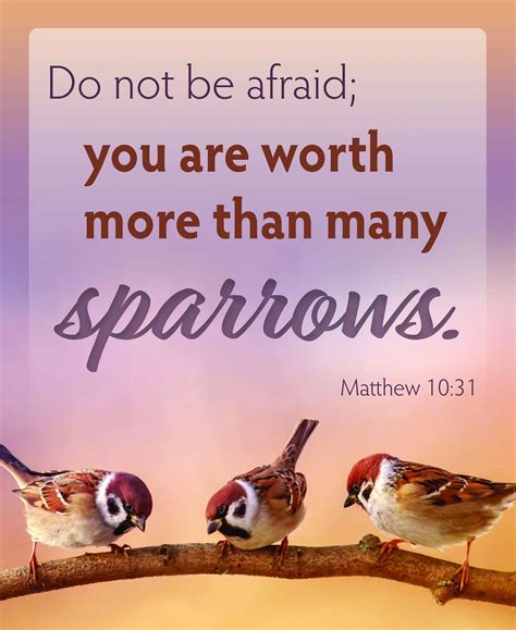 Matthew 10 26