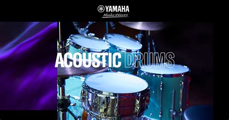 Акустические ударные установки - Барабаны - Музыкальные инструменты ...