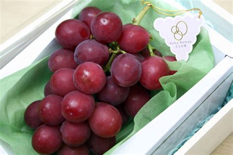 Ruby Roman The Worlds Most Expensive Grape Variety Grapes