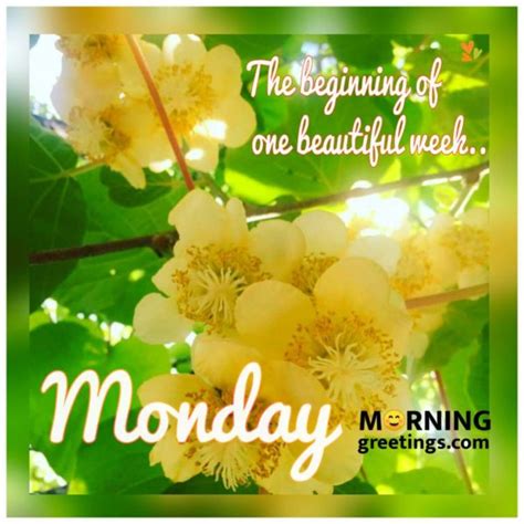 Best Monday Morning Quotes Wishes Pics Morning Greetings Morning