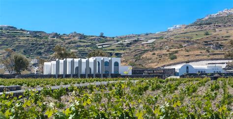 The Worlds Best Vineyards In Greece