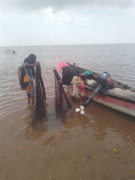 Empowering From Sex For Fish To Sea Leaders Talk Africa