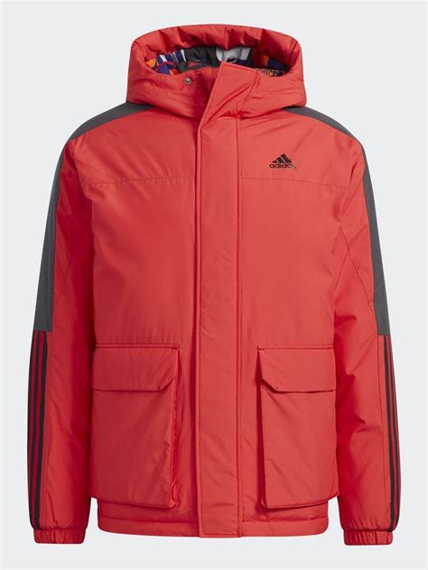Куртка adidas Sportswear Cny X-Bu Jkt - купить с доставкой по выгодным ...