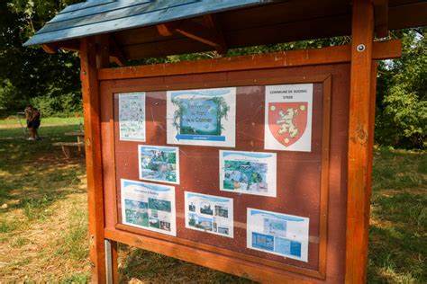 Photos Buding Un Pique Nique Au Parc De La Canner A Se Tente