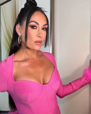 The Bella Twins Nude Porn Pictures XXX Photos Sex Images 4078433 PICTOA