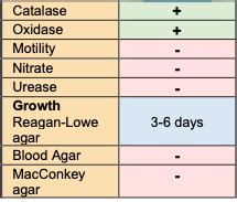 MISCELLANEOUS GRAM- NEGATIVE BACILLI Flashcards | Quizlet