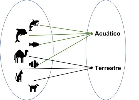 Lgebra Superior I Tipos De Relaciones En Conjuntos El Blog De Leo