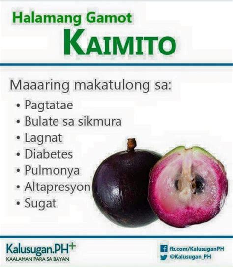 Herbal Na Gamot Sa Bulate Sa Tiyan Medisinagamot