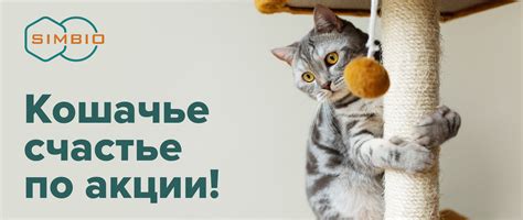 Сухой корм для кошек российского и импортного производства купить по ...