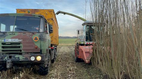 Sieczkarnia 4x4 do wierzby Topoli Kłodzko OLX pl