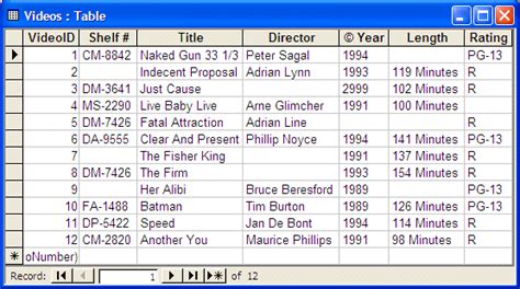 VBA For MS Access Lesson 13 Details On Data Entry