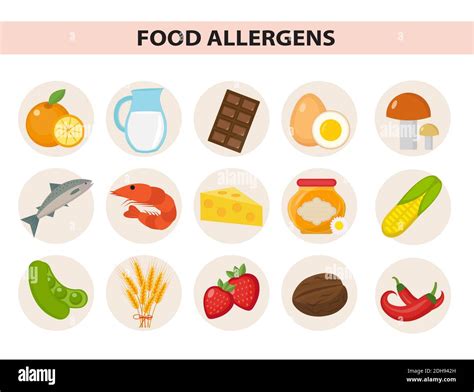 Food Allergen Icon Set Flat Style Allergy Products Meal Allergies