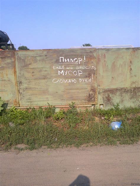 Любимые соседи | Пикабу