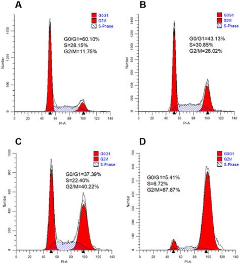 Cell Cycle Distribution Of Hela Cells After 24 H Treatment With 1 Fold