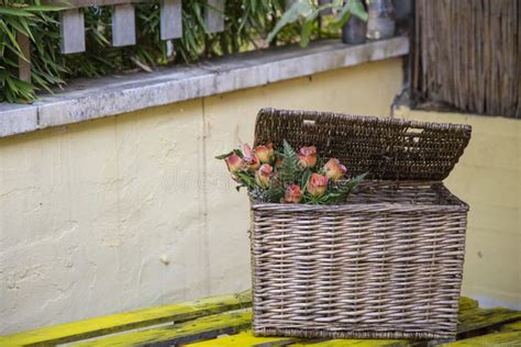 Abra A Cesta De Vime Para Cogumelos E Vegetais Tampa De Vime