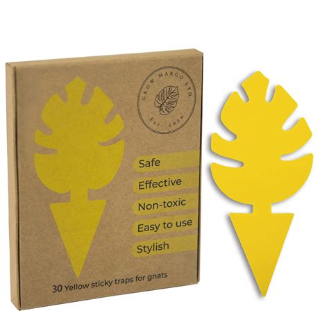 Buy 30 Pcs Yellow Sticky Trap for Indoor Gnats Dual Sided by Grow Margo