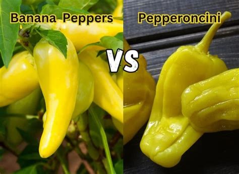 Banana Peppers Vs Pepperoncini Eat Your Beets