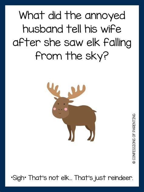 40 Elk Jokes That Will Amoose Kids and Adults!