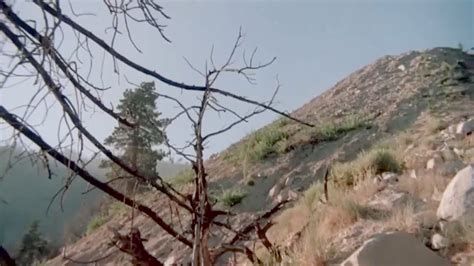 Bob Chinn Classics Free Blackboyaddictionz Hd Porn Tape Hotntubes