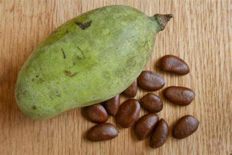 Papaya Paw Paw Tree Fruit