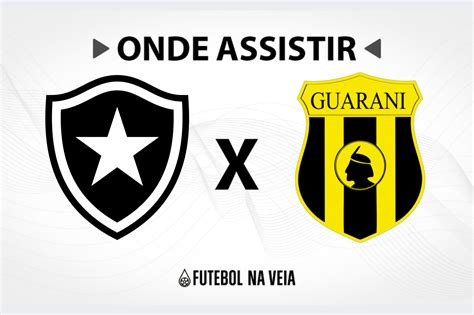 Botafogo X Guaran Onde Assistir Ao Vivo Hor Rio Do Jogo E Escala Es