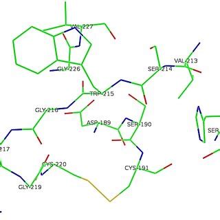 Selected Binding Pocket With Multiplicity Calculated As 127 Generated