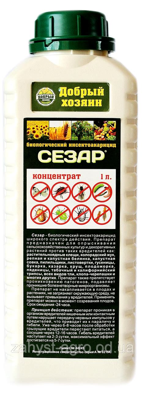 Сезар - мощный инсектицид и акарицид против колорадского жука, тли ...