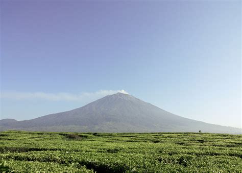 indonesia mountain pictures   images  unsplash