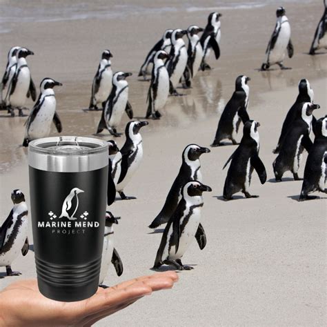 Bulk Galapagos Penguin Conservation Tumbler Marine Protection Project ...