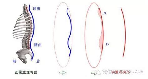 内家拳的一身备五弓与五弓合一腾讯新闻