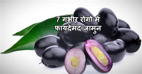 7 Health Benefits Of Jamun Ke Fayde Seeds Leaves Black Plum Diabetes